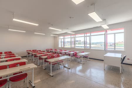 Angela Merkel School